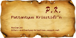 Pattantyus Krisztián névjegykártya